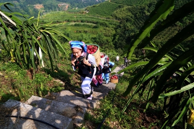 绿水青山就是金山银山--贵州林业新篇章系列报道